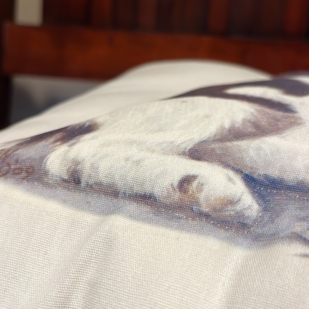 Killen - 2009 hunting 3-D dog pillow 13.5 x 13.5 - Picture 6 of 8